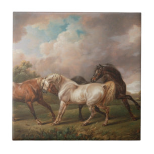  Horses  Tile
