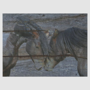 Horses Tissue Paper