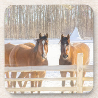 Horses Vermont Winter Hard Plastic Coaster