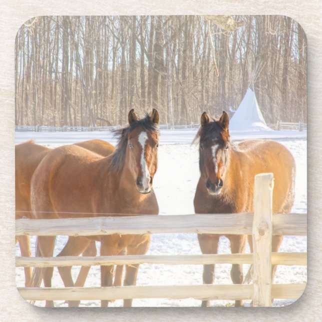 Horses Vermont Winter Hard Plastic Coaster (Front)