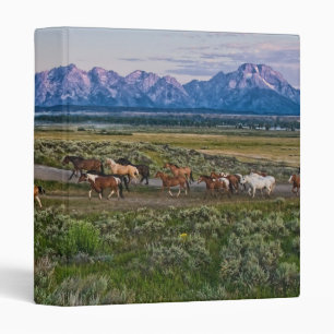 Horses Walk Binder