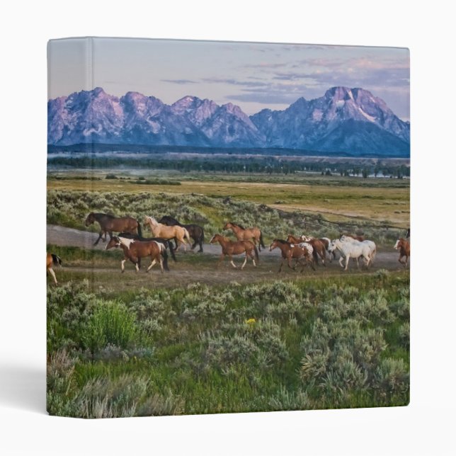 Horses Walk Binder (Front/Spine)