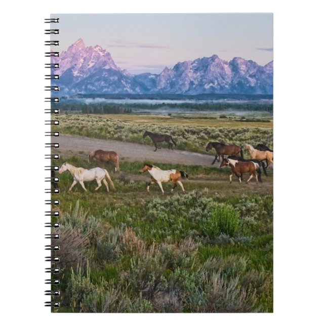 Horses Walk Notebook (Front)