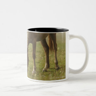 horses wildflower meadow morning mist Piano Two-Tone Coffee Mug
