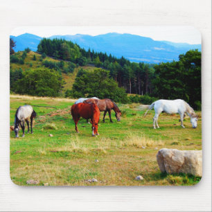 Horses Wildlife Mousepads