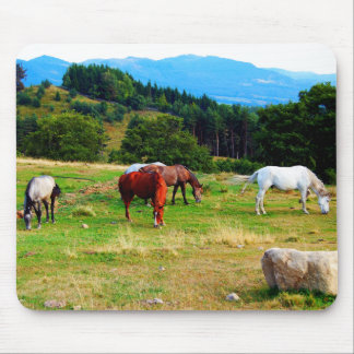 Horses Wildlife Mousepads