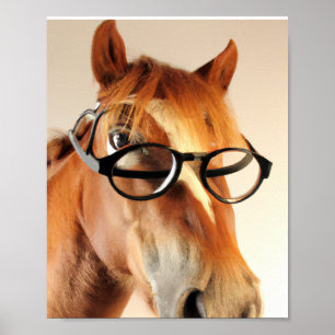 Horses With Glasses Posters