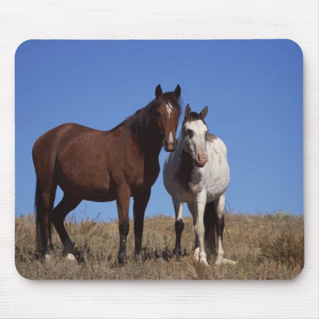 Horses with Sky Background Mouse Pad (Front)