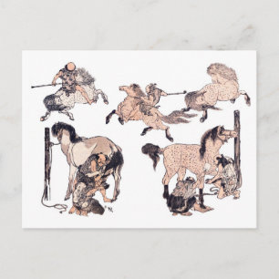 HorsesBrown Postcard