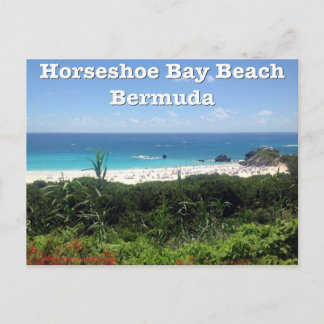 Horseshoe Bay Beach, Bermuda Postcard