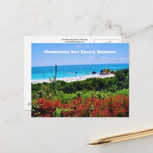 Horseshoe Bay Beach, Bermudes Carte postale (Devant/Arrière en situation)