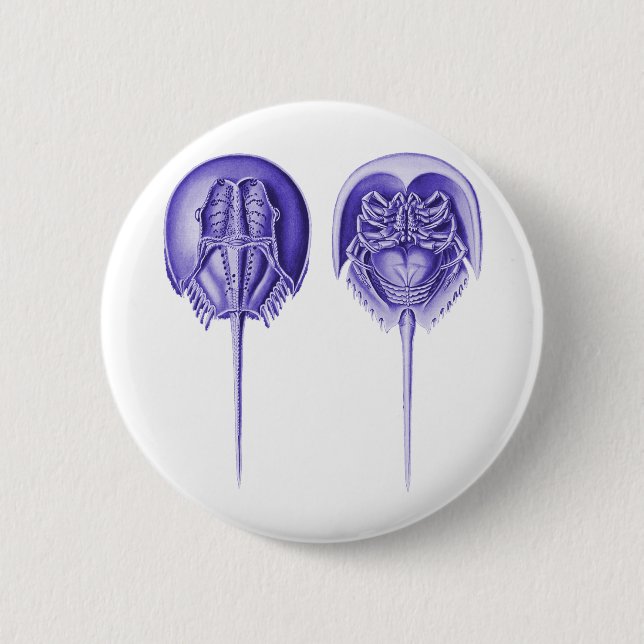 Horseshoe Crab 2 Inch Round Button (Front)