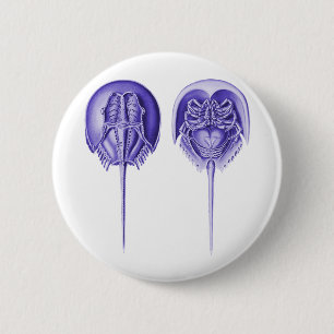 Horseshoe Crab 2 Inch Round Button