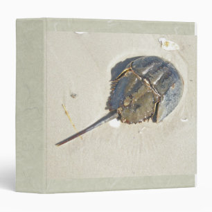Horseshoe Crab Binder