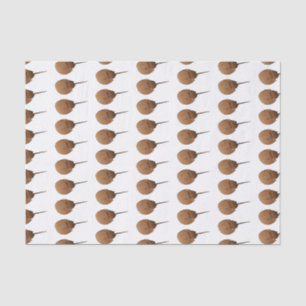 Horseshoe crab cartoon illustration tissue paper