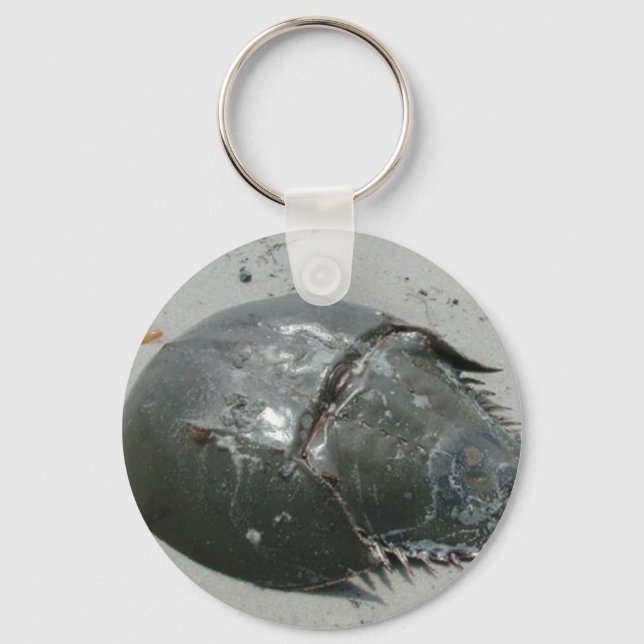 Horseshoe Crab Keychain (Front)