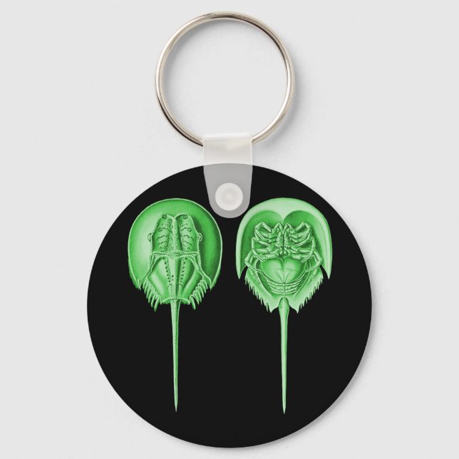 Horseshoe Crab Keychain (Front)