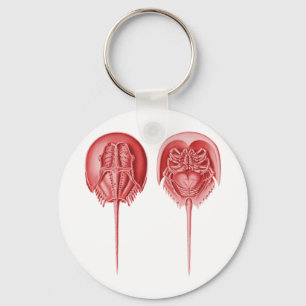 Horseshoe Crab Keychain