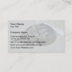 Horseshoe Crab - male Business Card