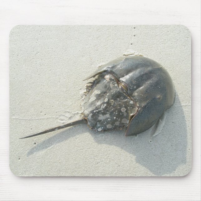 Horseshoe Crab Mousepad (Front)