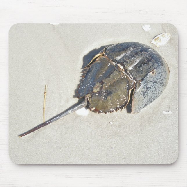 Horseshoe Crab Mousepad (Front)