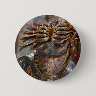 Horseshoe Crab ... Thai Asian Street Food 2 Inch Round Button