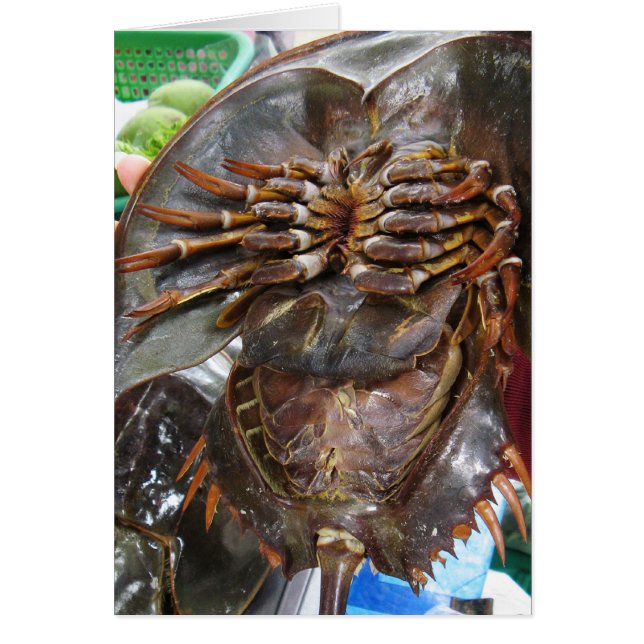 Horseshoe Crab ... Thai Asian Street Food Card (Front)