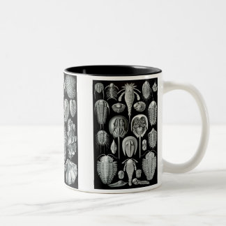 Horseshoe Crabs, Trilobites & Snails Two-Tone Coffee Mug