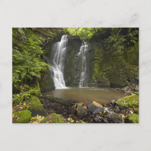 Horseshoe Falls, Matai Falls Postcard