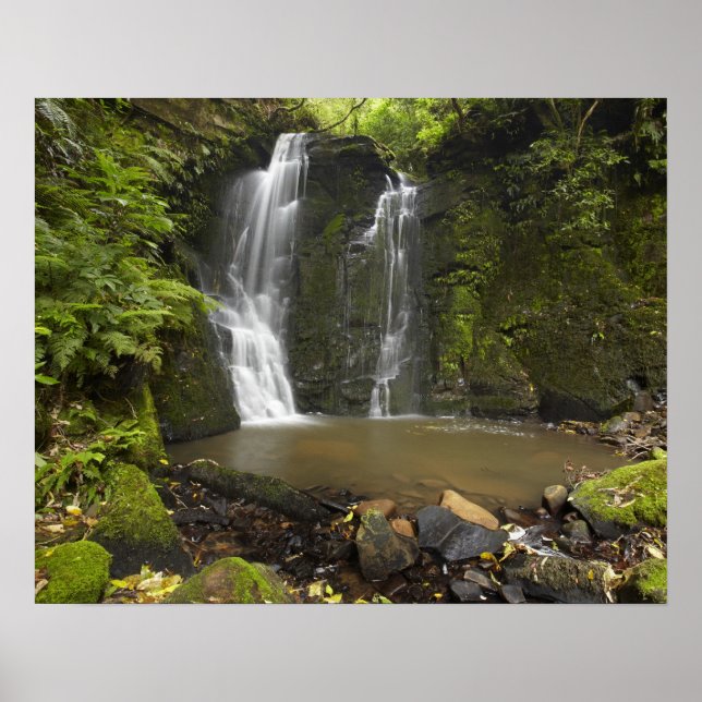 Horseshoe Falls, Matai Falls Poster (Front)