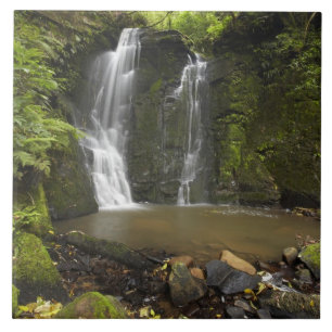Horseshoe Falls, Matai Falls Tile