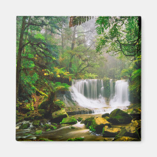 Horseshoe Falls Surrounded by Rainforest Magnet