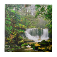 Horseshoe Falls Surrounded by Rainforest