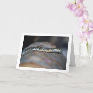 Horseshoe Whip Snake Card