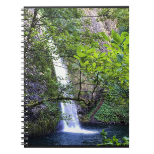Horsetail Falls, Oregon Notebook