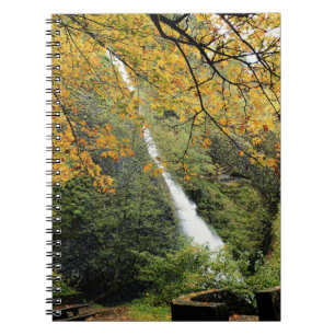 Horsetail Falls, Oregon Notebook