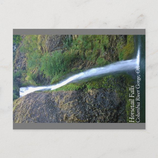 Horsetail Falls, Oregon Postcard (Front)