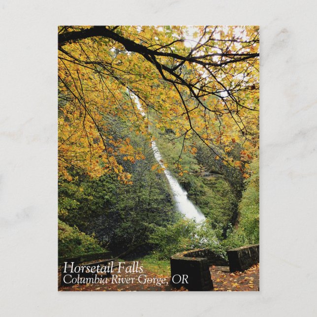 Horsetail Falls, Oregon Postcard (Front)