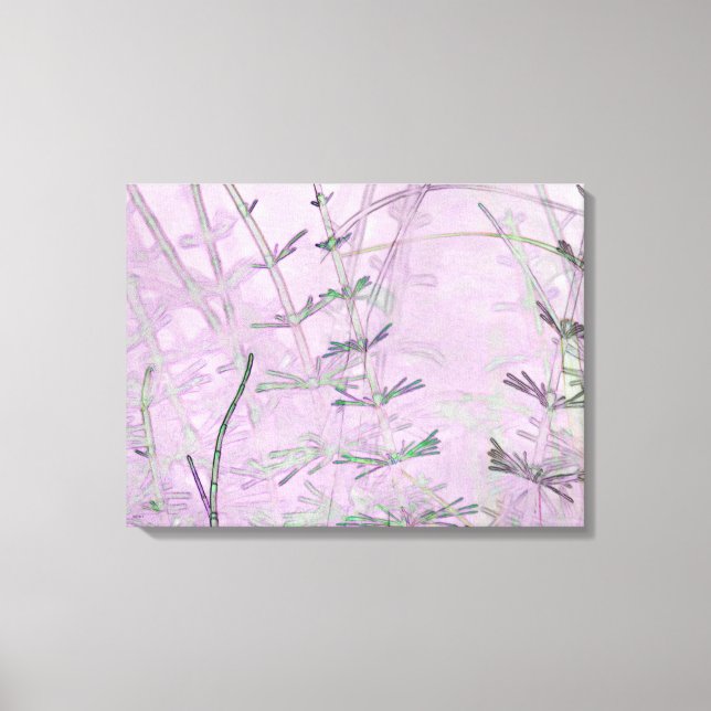 Horsetail Grass/Stems Canvas Print (Front)