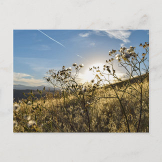 Horsetooth Reservoir Colorado Postcard