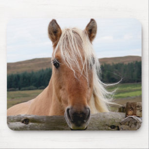 Horsie Mouse Pad