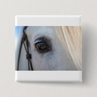 horsie pure 2 inch square button