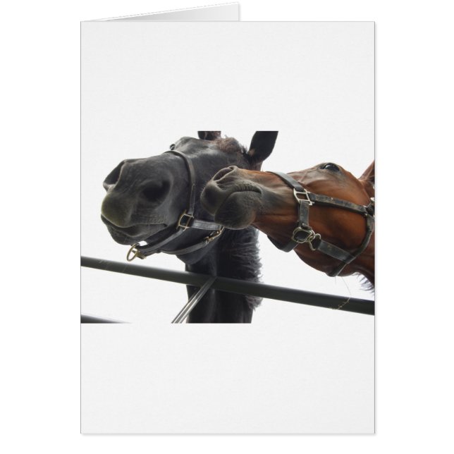 Horsing around (Front)