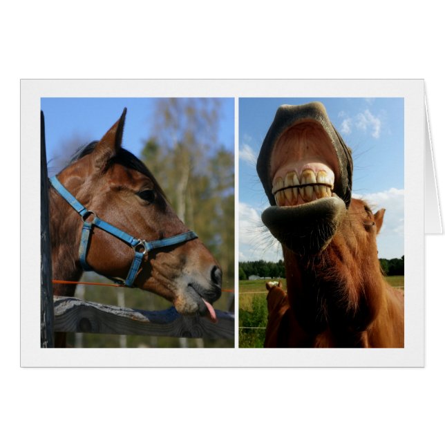 Horsing Around custom greeting card (Front Horizontal)