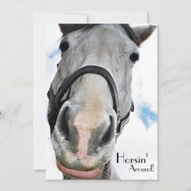 Horsing Around - Funny Horse Face for equestrians Invitation (Front)