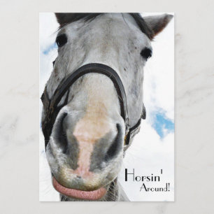 Horsing Around - Funny Horse Face for equestrians Invitation