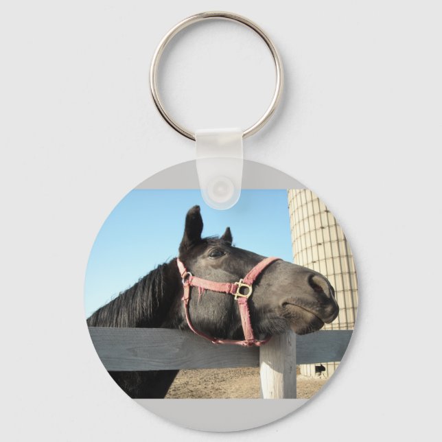 Horsing Around Keychain (Front)