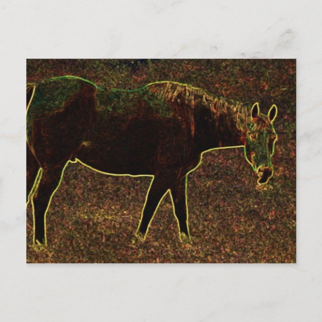 Horsing Around Postcard (Front)