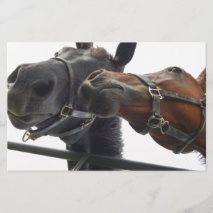 Horsing Around Stationery