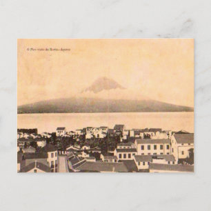 Horta Azores 1906 Postcard
